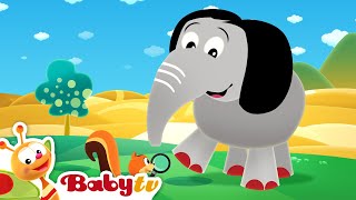 Baby Hood  BabyTV [upl. by Ailil]