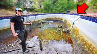 Saving FISH from ABANDONED POOL Rescue Mission [upl. by Bisset978]