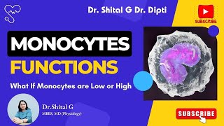 Monocytes  Functions  What If Monocytes are Low or High [upl. by Ylrebnik]