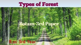 Types of Forest Bsc 3rd Year Forestry Bsc 3rd Year Botany 3rd Paper UmeshBiology [upl. by Aleciram]