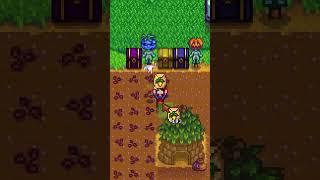 Avoid This Stardew Valley Mistake [upl. by Clim599]