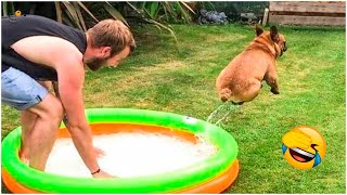 AWW SO FUNNY😂😂 Super Dogs And Cats Reaction Videos Honest Audio 21 [upl. by Baerman]