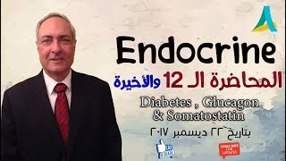 DrNagi  Live Physiology  Lecture 60  Endocrine 12  Diabetes Mellitus [upl. by Osnofla268]