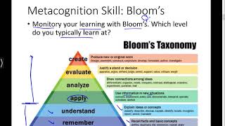 Metacognition Skills Learning to Learn [upl. by Ginder791]