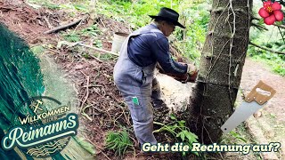 🤔 Haut die Sägeberechnung auch beim dritten Baum hin  Willkommen bei den Reimanns [upl. by Bowden]