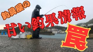 アジ＆イワシ釣り編：和歌山 田ノ浦漁港 釣具屋の甘い釣果情報に釣られて行ってみると [upl. by Aidnahs]