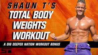 Shaun T  Dig Deeper Nation  Total Body Weights [upl. by Vedis]