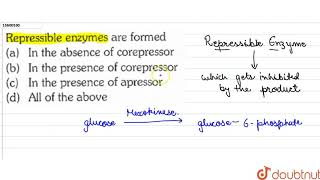 Repressible enzymes are formed [upl. by Yadnus]