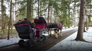 South Creek Clydesdales Holiday Sleigh Rides [upl. by Kcirdnekal183]