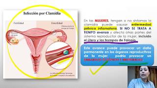 Enfermedades de transmisión sexual [upl. by Ynaffad313]