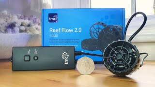 TMC Reef Flow 20  First Look amp Unboxing [upl. by Reltuc]