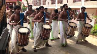 Drummers from a South Indian wedding [upl. by Hartzell469]