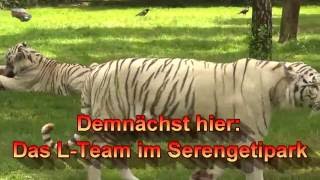 Trailer für die quotLTeamquot  Folge 4  Das LTeam im Serengeti Park [upl. by Mundford437]