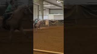 Lone Star rodeo the 28th More vids coming soon And it’s blurry lol… rodeo svbullybsmokin goat [upl. by Ntisuj]