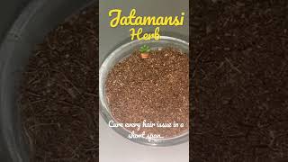 Jatamansi Herb For Hair [upl. by Assirral]