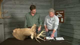 How to score a deer [upl. by Pease]