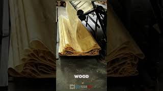 Wood sheet processing Satisfying jobs and machinery in the world [upl. by Reifel]