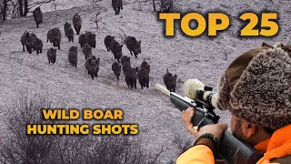 TOP 25 WILD BOAR HUNTING SHOTS [upl. by Karisa]