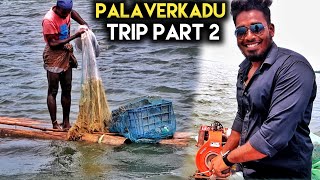 Palaverkadu River fully Prawns and crabs [upl. by Urdna208]