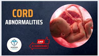 ABNORMALITIES OF UMBILICAL CORD  OBG  BSc NURSING 4TH YEAR [upl. by Norit857]