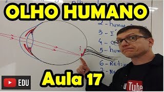 COMO FUNCIONA O OLHO HUMANO Óptica da VISÃO  AULA 17  Prof BOARO [upl. by Einama]