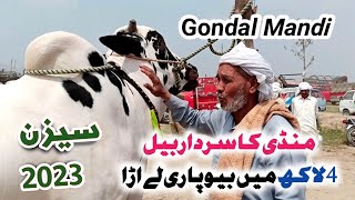 Gondal Mandi Attock Latest Update ll part 3 ll 01052023 ll Domail Mandi [upl. by Inaj]