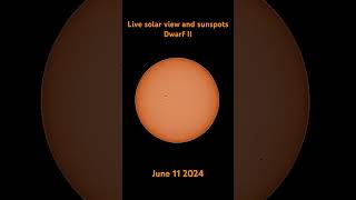 Sunspot activity June 112024 astrophotography sun sunspots telescope astronomy space solar [upl. by Arramahs]