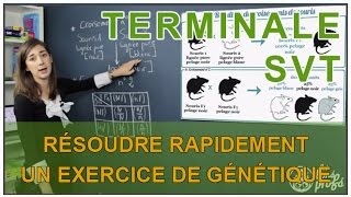 Résoudre rapidement un exercice de génétique  SVT Terminale S  Les Bons Profs [upl. by Antone625]