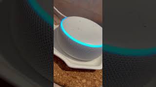 Alexa’s question of the day 101924 alexa viralshort jeffbezos amazonalexa youtube amazon [upl. by Yzeerb]