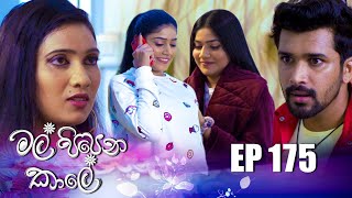 Mal Pipena Kaale  Episode 175 06th June 2022 [upl. by Gillette]