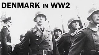 Denmark in World War 2  The Danish Resistance  Documentary Short  1944 [upl. by Drusus]