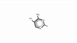 DNA methylation analysis by multiplexed reduced representation bisulfite sequencing RRBS [upl. by Nna]