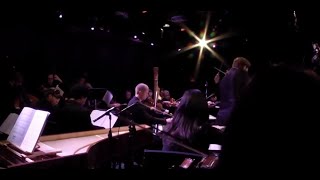 Max Richter  The Four Seasons Recomposed Live at Le Poisson Rouge NYC [upl. by Donavon]