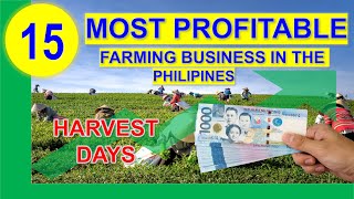 Top 15 Most Profitable Farming Business in the Philippines per Return on Investments w Harvest Days [upl. by Sutphin]