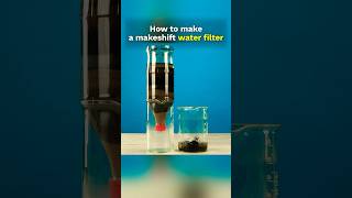 Homemade Water Filter With Bottle Easy Trick shorts water experiment [upl. by Westberg]