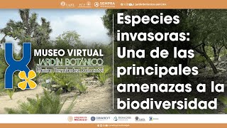 Especies invasoras Una de las principales amenazas a la biodiversidad [upl. by Eekcaj]