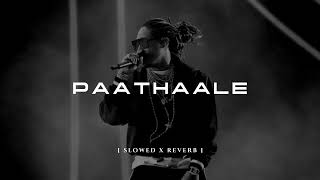 PAATHAALE  පාතාලේ slowed x reverb By Hustler Bhai ft Vinthy × MinnyMe  Manee Vibez [upl. by Alwitt]