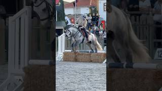 Working Equitation 🇵🇹 lusitano Nilo amp Antonio Simão Mendes 2024 Golegã horse equitation equity [upl. by Nostets]