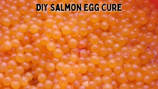 How to Salt Cure Salmon Eggs [upl. by Pressman]