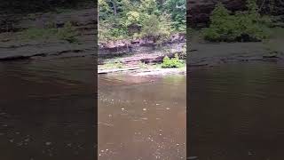 Esopus Creek upstate waterfalls adventuring exploring alone [upl. by Mayram]