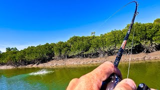 Absolute INSANITY  Tropical Estuary Fishing [upl. by Euqinwahs]