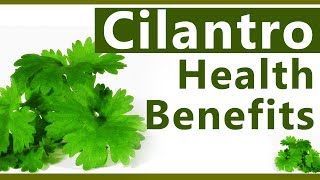 Top 10 Benefits of Cilantro  Uses Coriander or Cilantro leaves  Healthy Reasons to Eat Cilantro [upl. by Nylyahs]