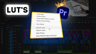 How to export LUT in Adobe Premiere Pro Video Editing like a PRO [upl. by Dublin]