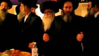 Kruly Horowitz  Brezan Friedman Hasidic Wedding [upl. by Magnuson581]