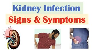 Kidney Infection Pyelonephritis Signs amp Symptoms  amp Why They Occur [upl. by Randal23]