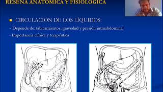 Patología de la peritonitis aguda [upl. by Caundra358]