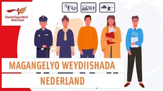 Asielprocedure in Nederland Somalisch  VluchtelingenWerk Nederland [upl. by Mosira]