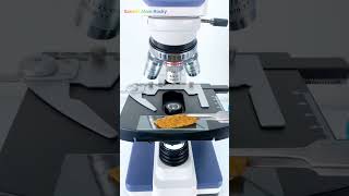 কলা Microscope microscope shortsvideo shorts viralvideo tanding amazing [upl. by Annodahs815]