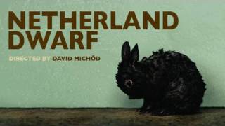 Netherland Dwarf [upl. by Aehsan549]