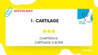 Cartilage  CHAPTER3 CARTILAGE amp BONE [upl. by Fiel]